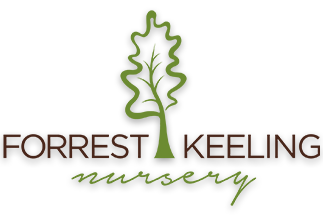 Upload Nursery Logo