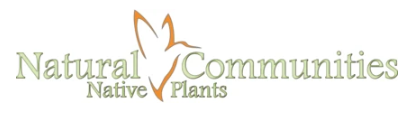 Upload Nursery Logo