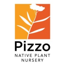 Upload Nursery Logo