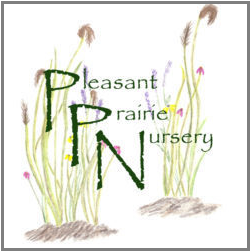 Upload Nursery Logo