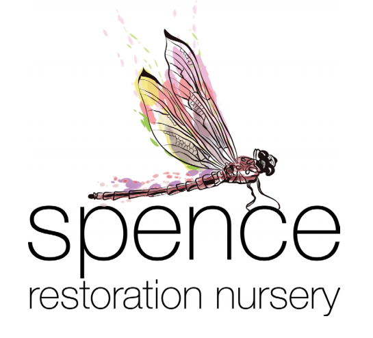 Upload Nursery Logo