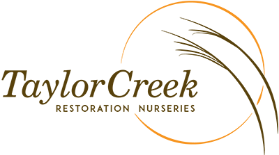 Upload Nursery Logo