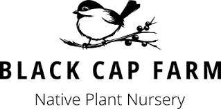 Upload Nursery Logo