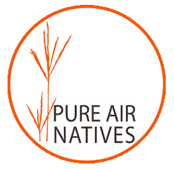 Upload Nursery Logo