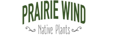 Upload Nursery Logo