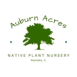 Upload Nursery Logo