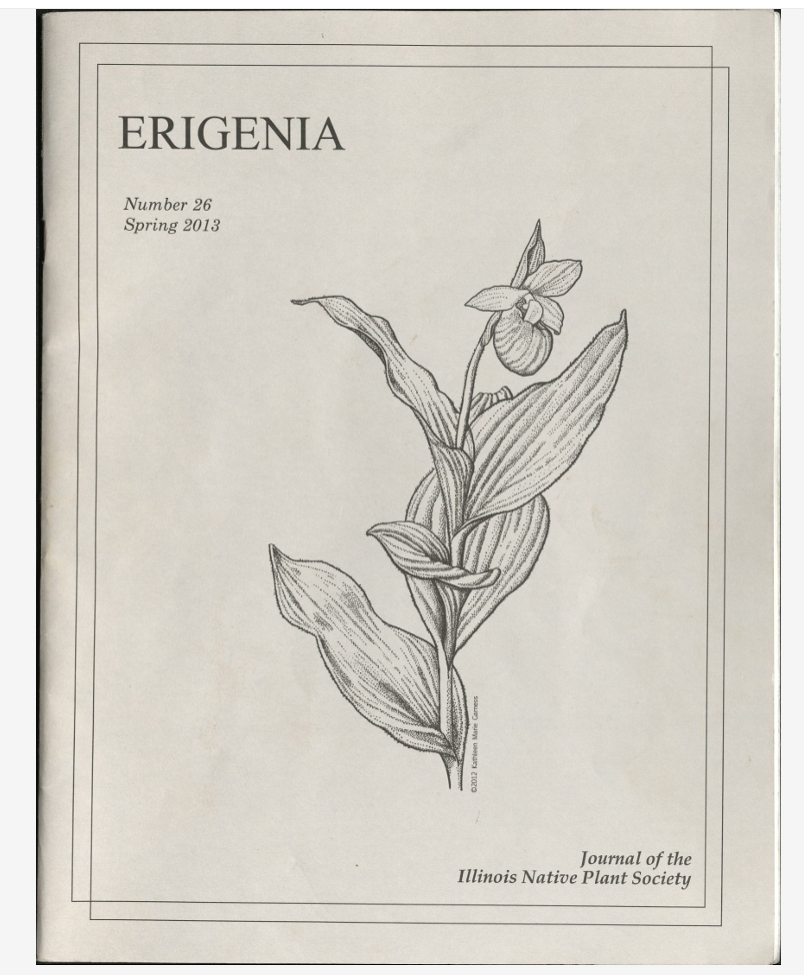 View PDF