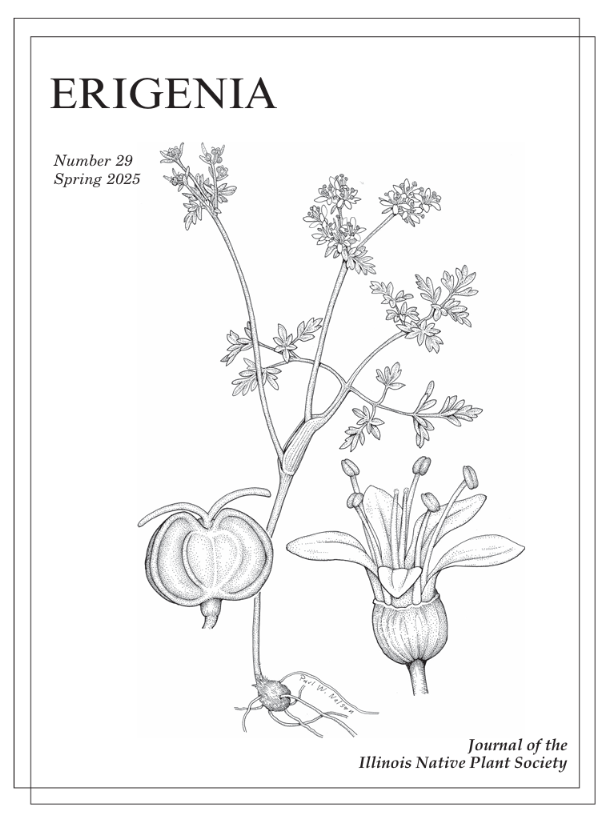 View PDF